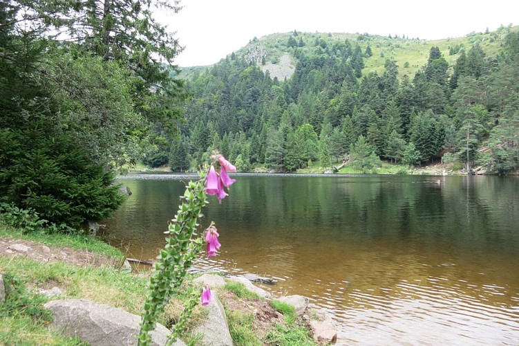 Lac du Forlet