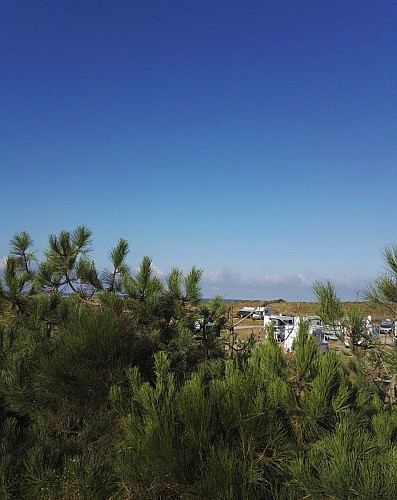 Aire camping-cars Montalivet3