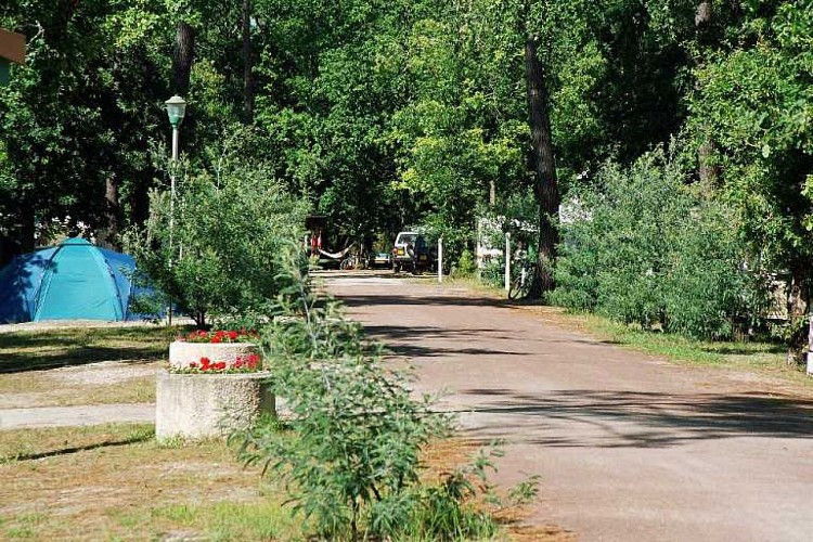 Camping Les Oyats