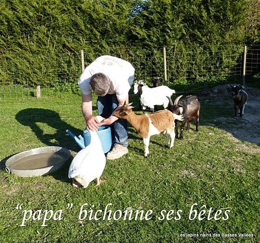 Gîte Au Bord de l'Huisne