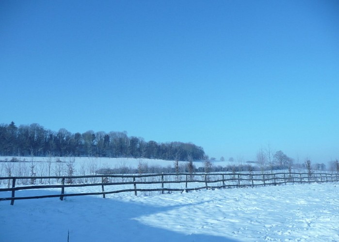 Au Bord de l'Huisne
