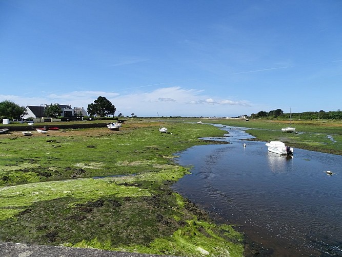 Landscapes