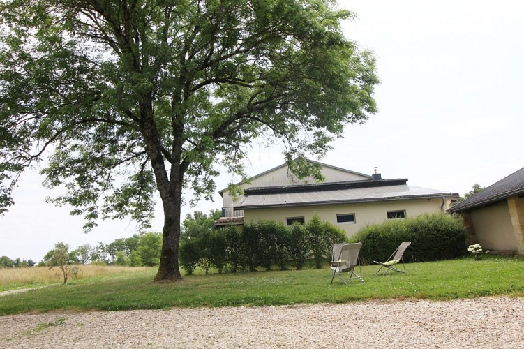 Château Malfard - Petit Verdot