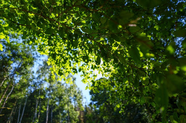 LES_BAUX_06072022 (D.Closson) (3)
