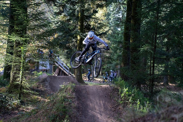 Singletracks Bike-Park 