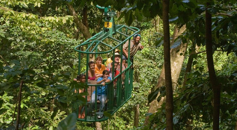 Travel Through the Canopy by Cable Car – In St. Lucia