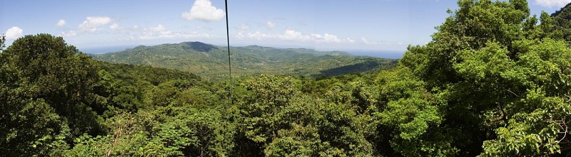 Travel Through the Canopy by Cable Car – In St. Lucia