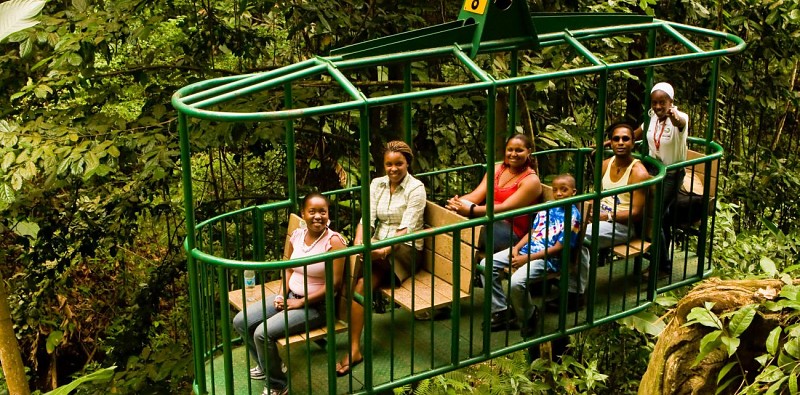 Travel Through the Canopy by Cable Car – In St. Lucia