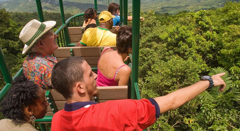 Travel Through the Canopy by Cable Car – In St. Lucia