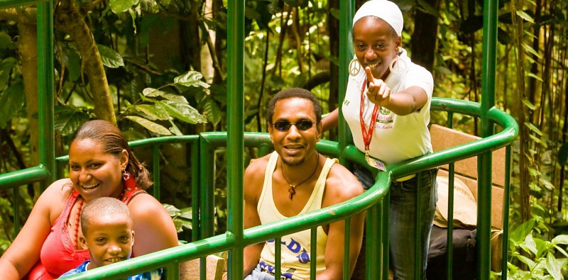 Travel Through the Canopy by Cable Car – In St. Lucia