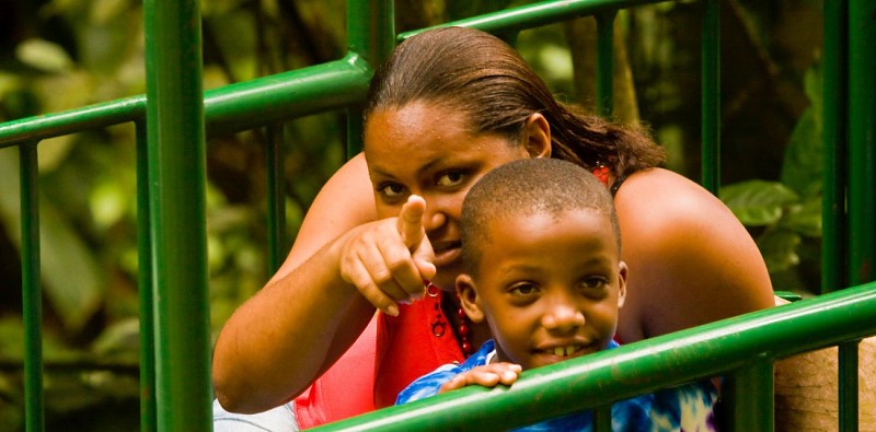 Travel Through the Canopy by Cable Car – In St. Lucia