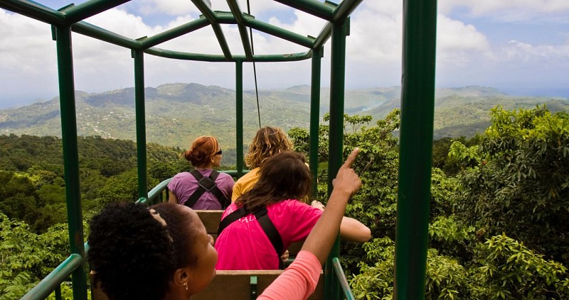 Tour 3 en 1 : Traversée en téléphérique, descentes en tyrolienne et randonnée dans la forêt tropicale - A Sainte-Lucie