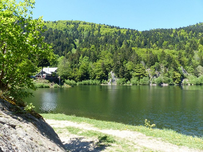 Tour: Lakes of Neuweiher