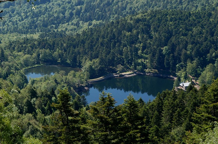 Lacs du Neuweiher