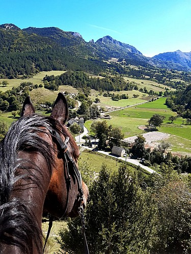 Ponyrijden en wandelen, lessen en paardrijden met Ranch du Château
