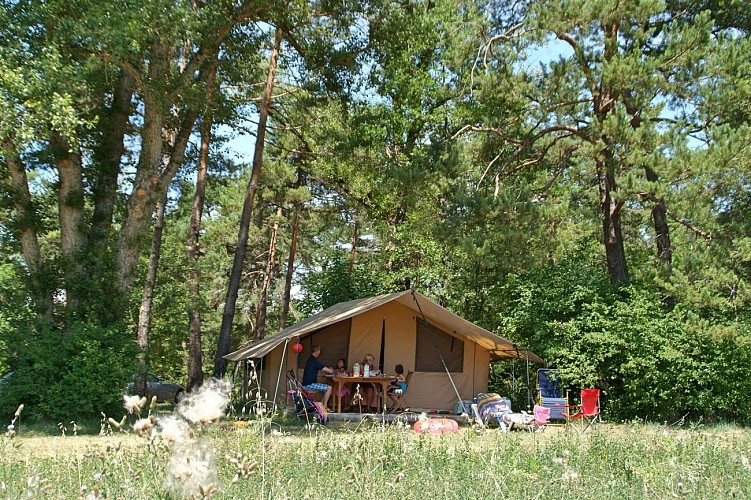 Hirondelle Campsite (swallow)