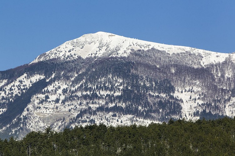 De Vercors oversteken op sneeuwschoenen