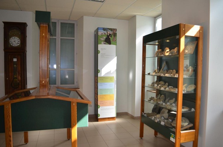Fossilien des Abts Froment - Ausstellung