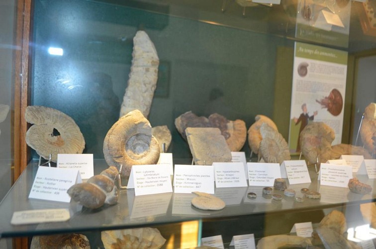 Fossilien des Abts Froment - Ausstellung