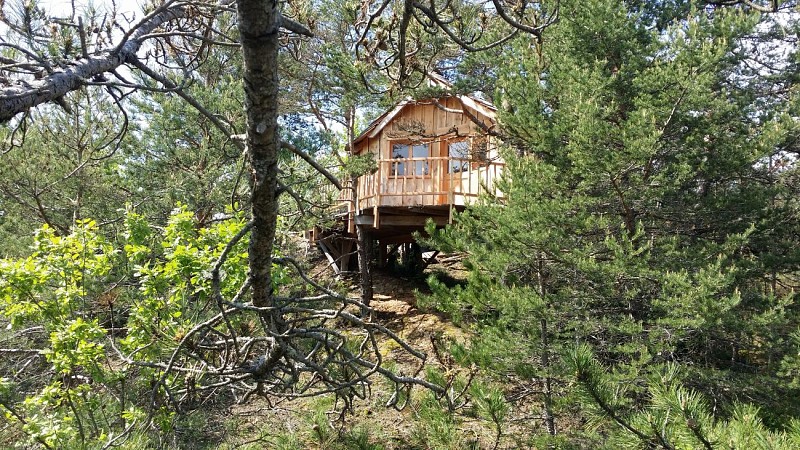 Cabane perchée - Les Taudons