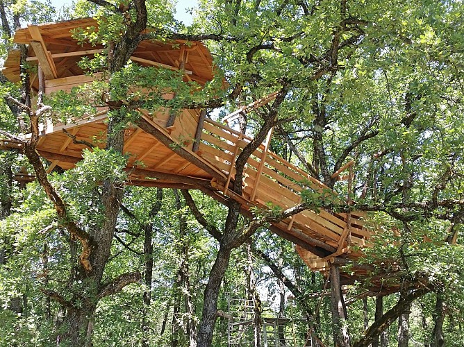La Cabane aux Oiseaux - Les Taudons
