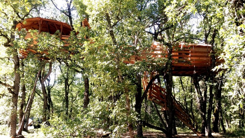 La Cabane aux Oiseaux - Les Taudons