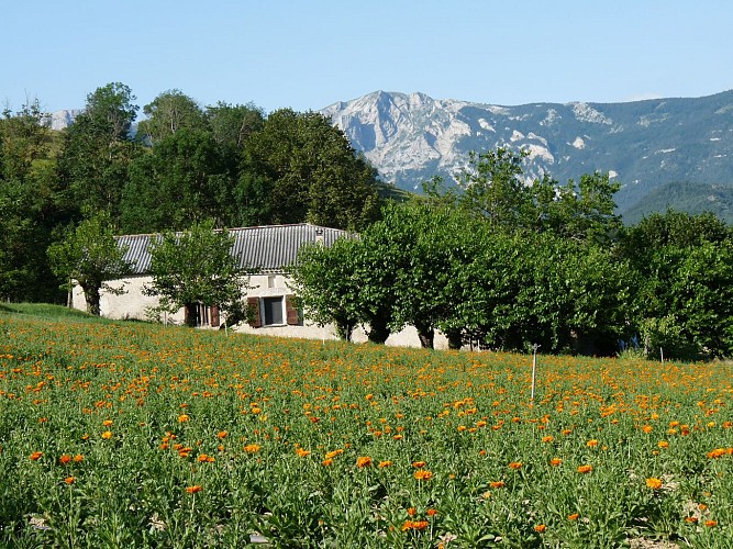 Gîte La Ferme des Touzons