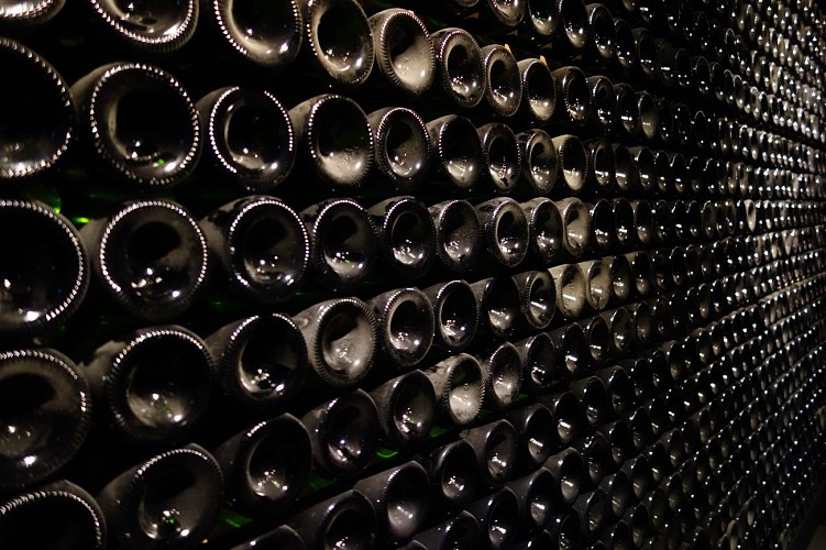 Muséobulles - Cave de Die Jaillance