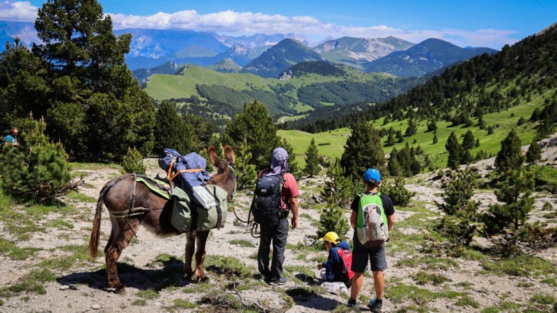 Petits Nomades en Diois: Wandern mit Eseln für Familien