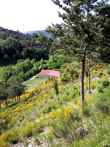 Chambre d'hôtes La Ferme des Montagnes Bleues