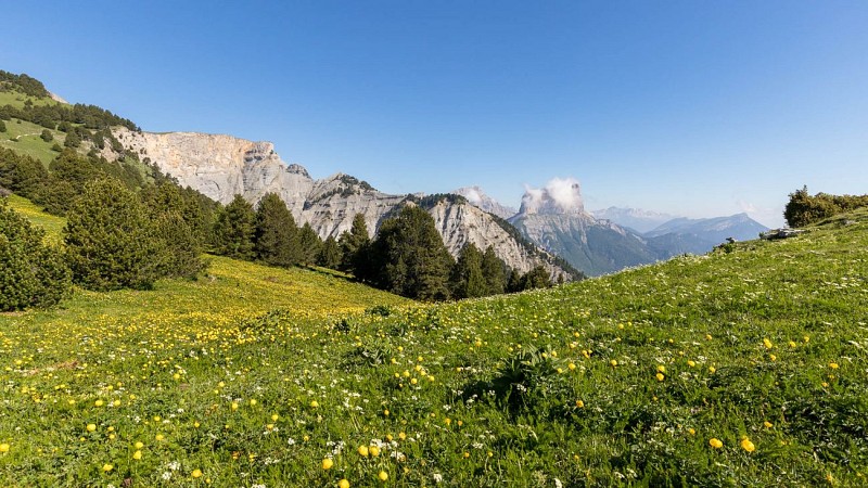 Wandelweekend tussen Vercors en Provence