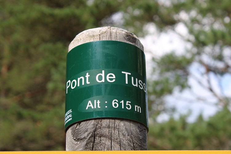 Pont de Tusset