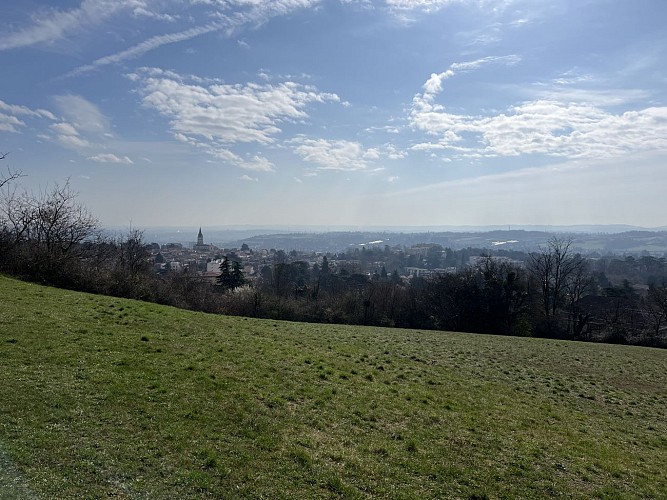 Image du poi