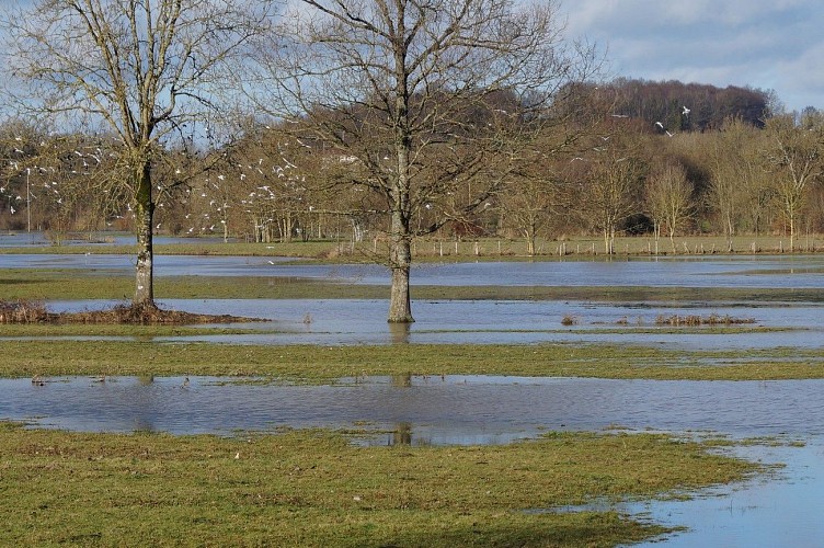 saint-andre-sur-sevre-ens-la-pree-des-cosses1