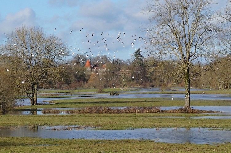 saint-andre-sur-sevre-ens-la-pree-des-cosses