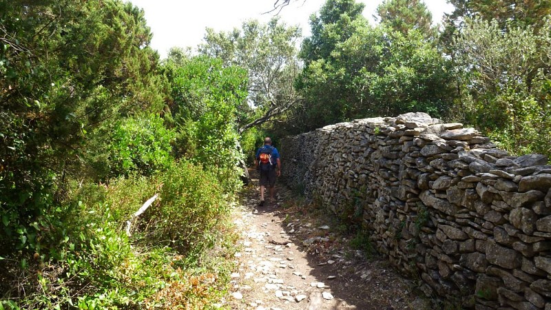 Sentier menant à la côte 