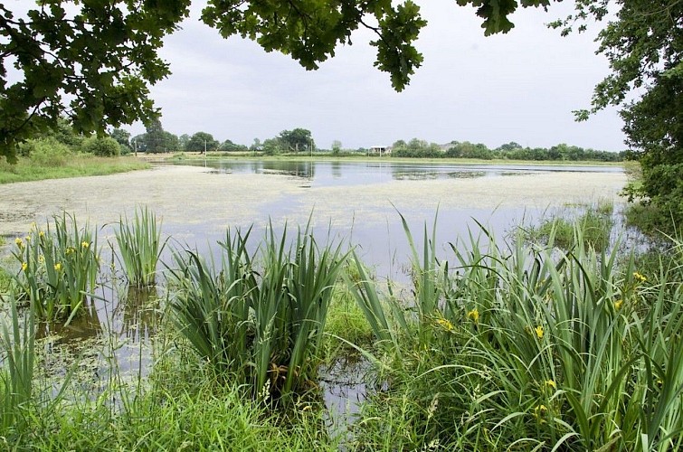st-maurice-etusson-etang-de-beaurepaire-credit-photo-francis-massias