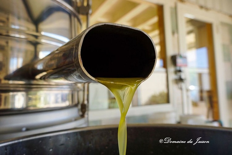 Guided tour : Oils and citrus fruits at the Domaine du Jasson