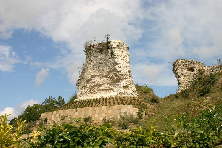 Vestiges du donjon