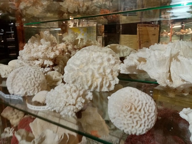 Musée de l'Amiral - Pouldreuzic - Pays bigouden