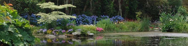 Parc Botanique de Cornouaille - Combrit - Sainte-Marine - Pays bigouden