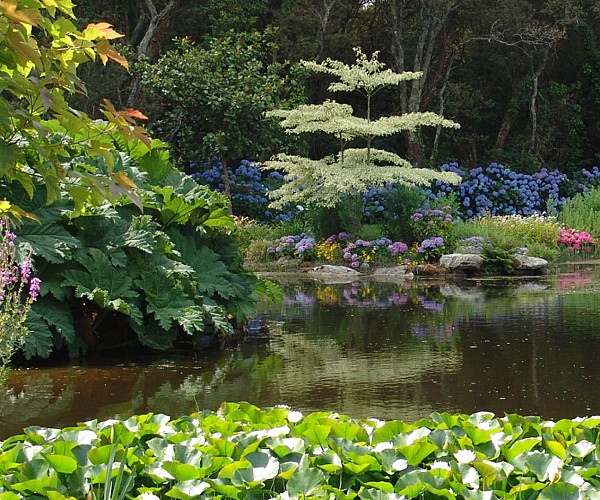 Parc Botanique de Cornouaille - Combrit - Sainte-Marine - Pays bigouden