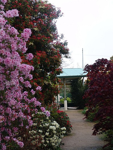 Parc Botanique de Cornouaille - Combrit - Sainte-Marine - Pays bigouden