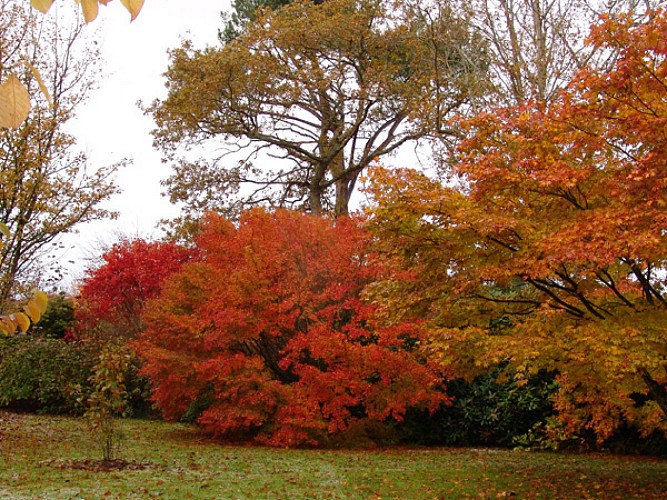 Parc Botanique de Cornouaille - Combrit - Sainte-Marine - Pays bigouden