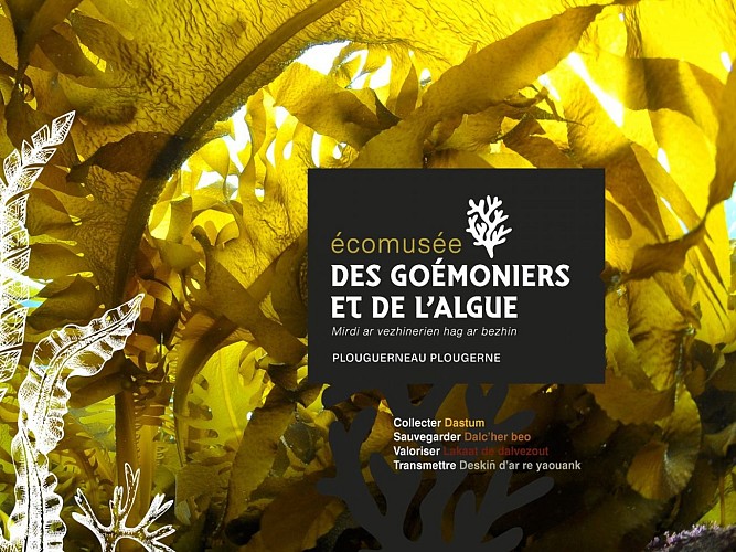Ecomusee des goémoniers