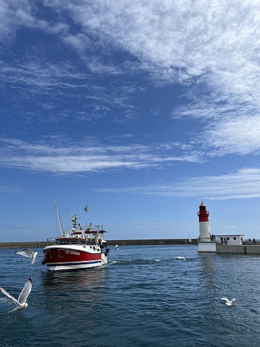 Haliotika - Guilvinec - Pays bigouden
