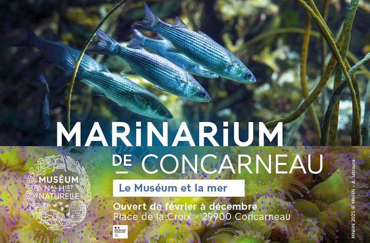 marinarium Concarneau - Aquarium de Concarneau à Pont-Aven 1