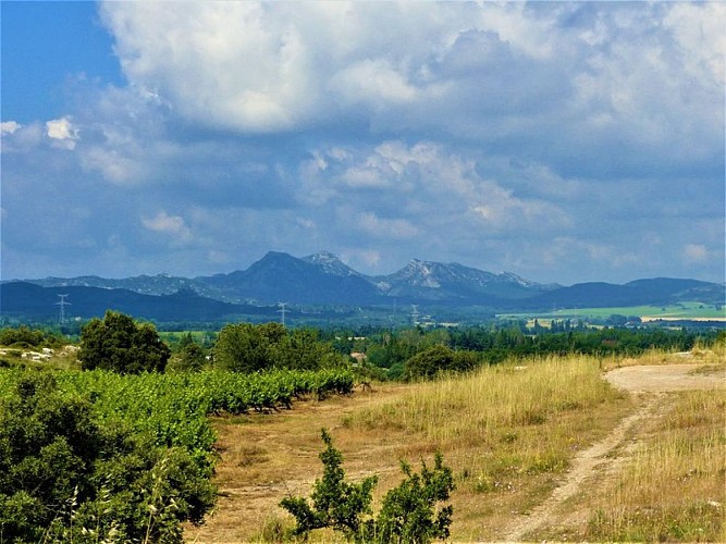 Vue sur les Opies