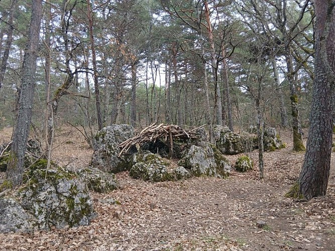 Doline