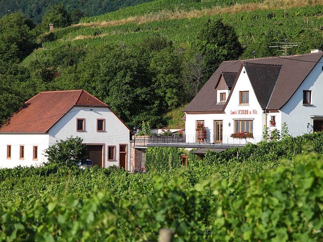 Vins SCHERB Louis et Fils